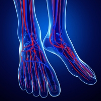 Why It Is Important to Have Good Circulation in Your Feet